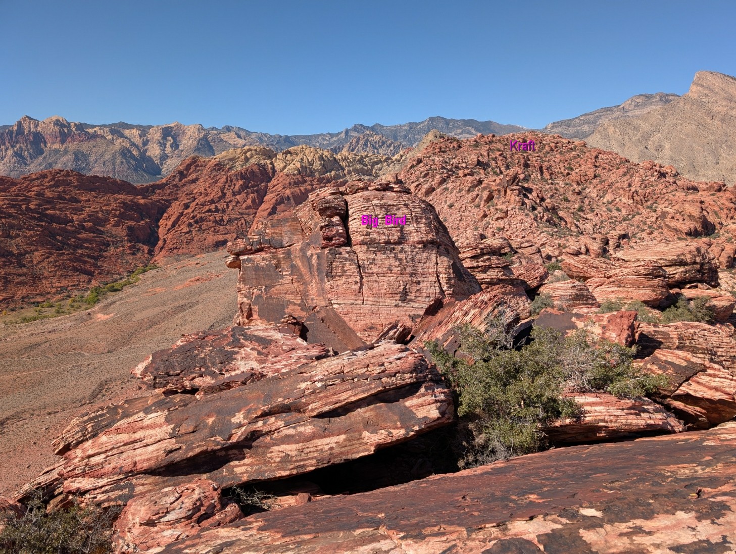 PXL_20251020_183233049