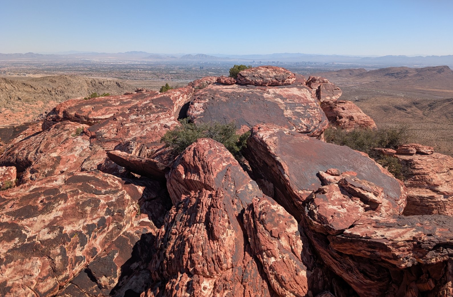 PXL_20251020_183630100