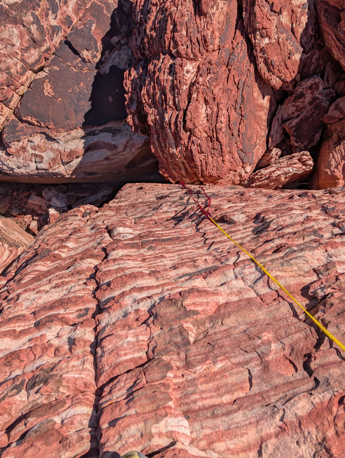 PXL_20251020_183903311