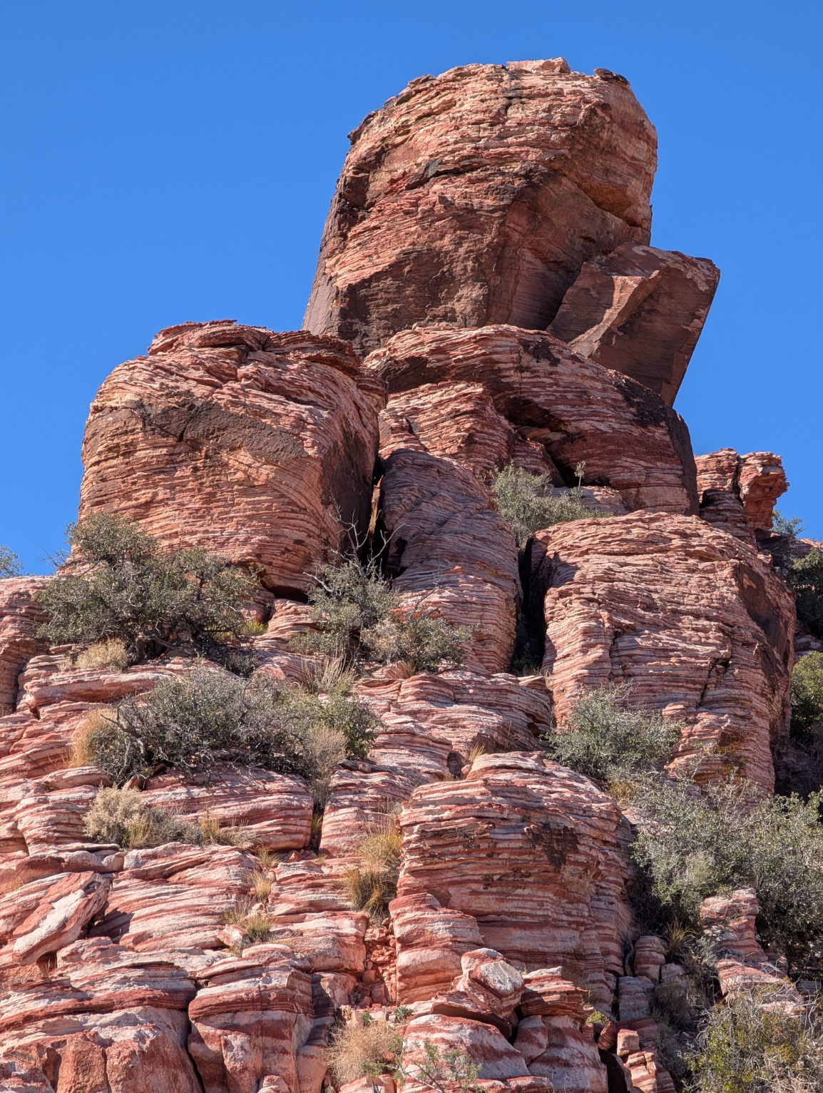 PXL_20251020_184918826