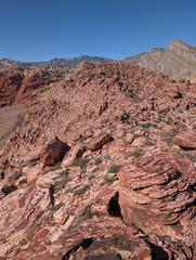 PXL_20251020_183640940