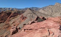 PXL_20251020_191426057