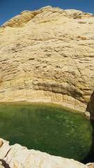 IMG_3631-5